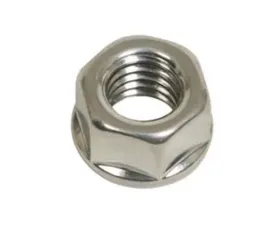 ARP Bolts ARP 3/8-16 Stainless Steel Coarse Hex Nut Kit, Polished Finish