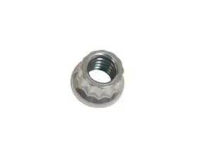 ARP 1/4-20 SS 12pt Nut Kit