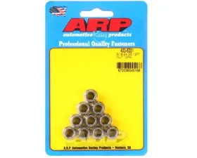 ARP Bolts ARP 5/16-24 Stainless Steel 12pt Nut Kit, 3/8 Socket Size