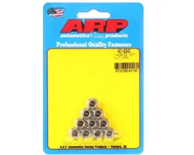 ARP 1/4-20in SS 12pt Nut Kit (10/pkg)