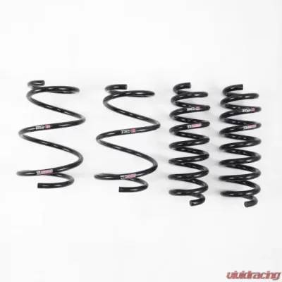 RS-R Ti2000 Down Lowering Springs BMW 320i F30 12-16 - BM008TD