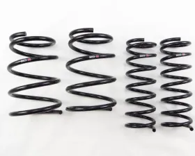 RS-R Down Suspension Lowering Springs Subaru Forester SJ5 14-15