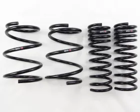 RS-R Down Suspension Lowering Springs Subaru Forester SJG 14-18
