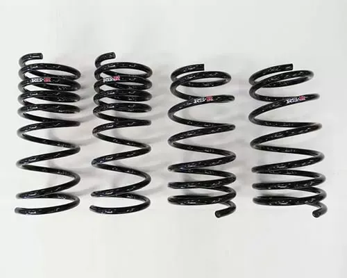 RS-R Down Suspension Lowering Springs Acura TSX Sports Wagon 11-14 - H650W