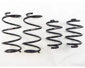 RS-R Down Suspension Lowering Springs Nissan Sentra TB17 (B17) 13-19