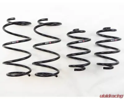 RS-R Down Suspension Lowering Springs Nissan Sentra TB17 (B17) 13-19 - N205D