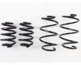 RS-R Down Suspension Lowering Springs Nissan Maxima 09-14