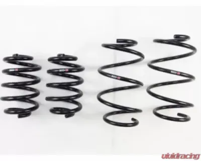 RS-R Down Suspension Lowering Springs Nissan Maxima 09-14 - N910D