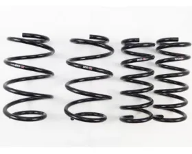 RS-R Down Suspension Lowering Springs Nissan Altima L33 13-18