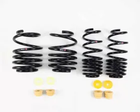 RS-R Super Down Suspension Springs Honda Civic Type R 2018+