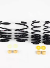 RS-R Super Down Suspension Springs Honda Civic Type R 2018+                                     - H059S - Image 2