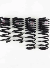RS-R TI2000 Down Suspension Springs NISSAN GT-R 2009+                                     - N350TD - Image 2