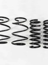 RS-R Down Suspension Springs Nissan Quest 2011-2016                                     - N860W - Image 2