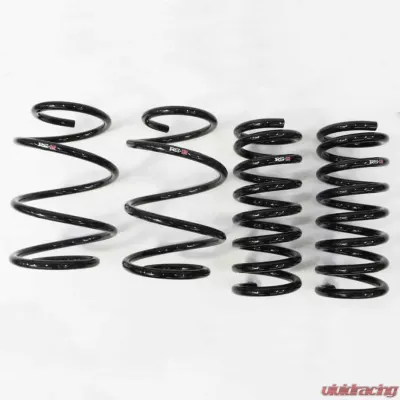 RS-R Down Suspension Springs Nissan Quest 2011-2016 - N860W
