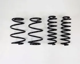 RS-R Down Suspension Springs Toyota RAV4 AWD 2019-2021