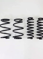 RS-R Down Suspension Springs Toyota RAV4 AWD 2019-2021                                     - T078D - Image 3
