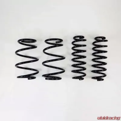 RS-R Down Suspension Springs Toyota RAV4 AWD 2019-2021 - T078D