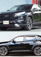 RS-R Down Suspension Springs Toyota RAV4 AWD 2019-2021                                     - T078D - Image 2