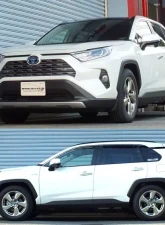 RS-R Down Suspension Springs Toyota RAV4 AWD 2019-2021                                     - T078D - Image 3