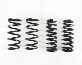 RS-R Down Suspension Springs LEXUS RC300/RC350 2015+