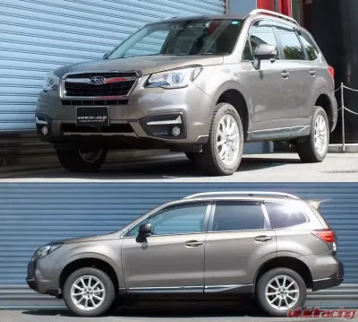 RS-R Best-I Coilover Subaru Forester Jouge 2014-2018 - XBIF908M