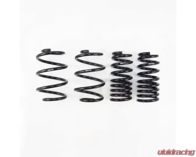 Rsr Down Sus Springs Chrysler Pacifica 17 - CHR300W