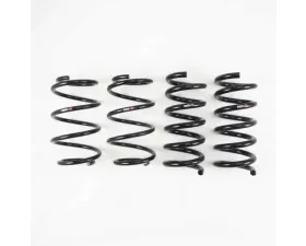 Rsr Down Sus Springs Ford Mustang Ecoboost 15
