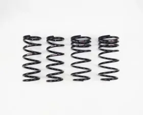 RS-R Ti2000 Down Suspension Suspension Lexus LC500 2018+