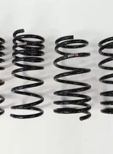 RS-R Down Suspension Lowering Springs Lexus CT200h 11-17                                     - T100D - Image 2