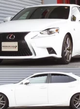 RS-R Down Suspension Lowering Springs Lexus IS250 | IS350 RWD 2014                                     - T195D - Image 2
