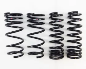 RS-R Super Down Lowering Springs Lexus IS250 14-16