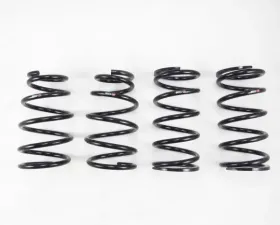 RS-R Down Suspension Springs Lexus RX350 AWD 2010-2015