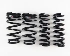 RS-R Down Suspension Lowering Springs Lexus RC-F 2015
