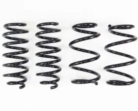RS-R Down Suspension Titanium Springs Tesla Model 3 2017+