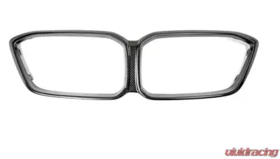AutoTecknic Replacement Dry Carbon Grille Surrounds BMW F87 M2 2015-2021 - ATK-BM-0117-CF