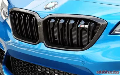 AutoTecknic Replacement Dry Carbon Grille Surrounds BMW F87 M2 2015-2021 - ATK-BM-0117-CF