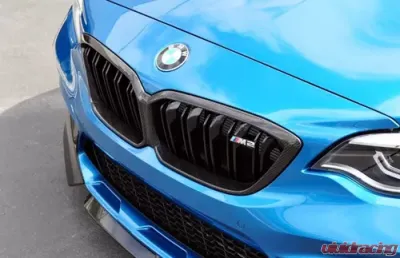 AutoTecknic Replacement Dry Carbon Grille Surrounds BMW F87 M2 2015-2021 - ATK-BM-0117-CF