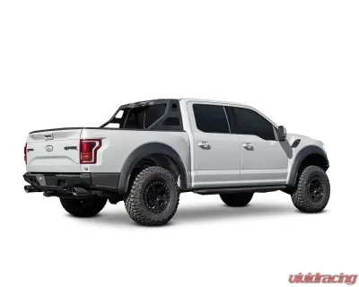 2015-2025 Ford F-150 and F-150 Raptor Addictive Desert Designs Stealth Fighter Chase Racck - C1115521101NA