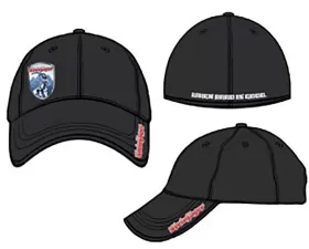 Steinjager Black Hats Flexfit Large