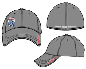 Steinjager Gray Hats Flexfit Large