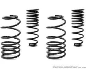 Neuspeed Sport Springs Volkswagen Passat 2.0L 1990-1993
