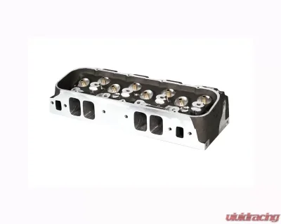 Dart Pro 2 CNC Aluminum Big Block Chevy Cylinder Heads 380cc 124cc 2.300/1.880 VJ Bare Casting - 19674030