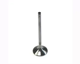 Dart Valve - BBC Exh 1.88 x 11994 0.1