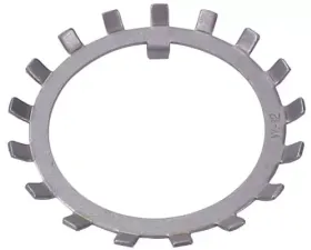 AFCO Racing Lock Washer GN Rear Hub 10205 AFCO Racing Lock Washer GN Rear Hub 10205