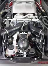 Weistec Water|Methanol Injection System Mercedes-Benz AMG GT | GT C | GT R | GT S 2015-2021                                     - 01-178-01734-2 - Image 7