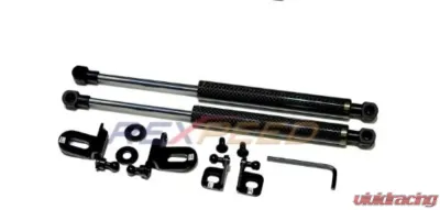 Rexpeed Carbon Fiber Hood Dampers Infiniti G35 - IF01