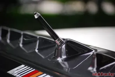 Rexpeed Carbon Fiber Antenna - R79