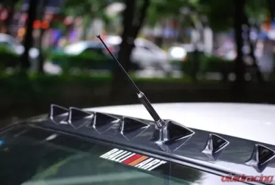 Rexpeed Carbon Fiber Antenna - R79