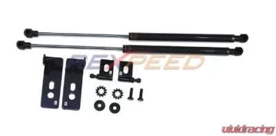 Rexpeed Carbon Fiber Hood Dampers Scion TC 2005-2010 - SC01