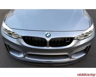 Status Gruppe Carbon Fiber Front Lip 1x1 CF BMW F80 | 82 | 83 M3 | M4 2015-2019 - SGTBMWF80/82/83FL1x1